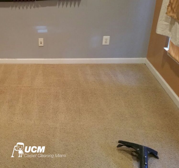 UCM Carpet Cleaning Miami Image